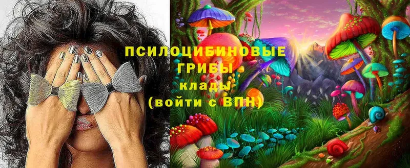 Псилоцибиновые грибы Psilocybine cubensis  магазин продажи наркотиков  Беслан 